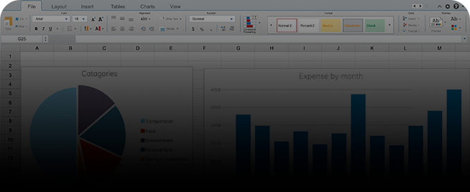 Imagem de uma tela do Excel com um gráfico de pizza e outro de colunas